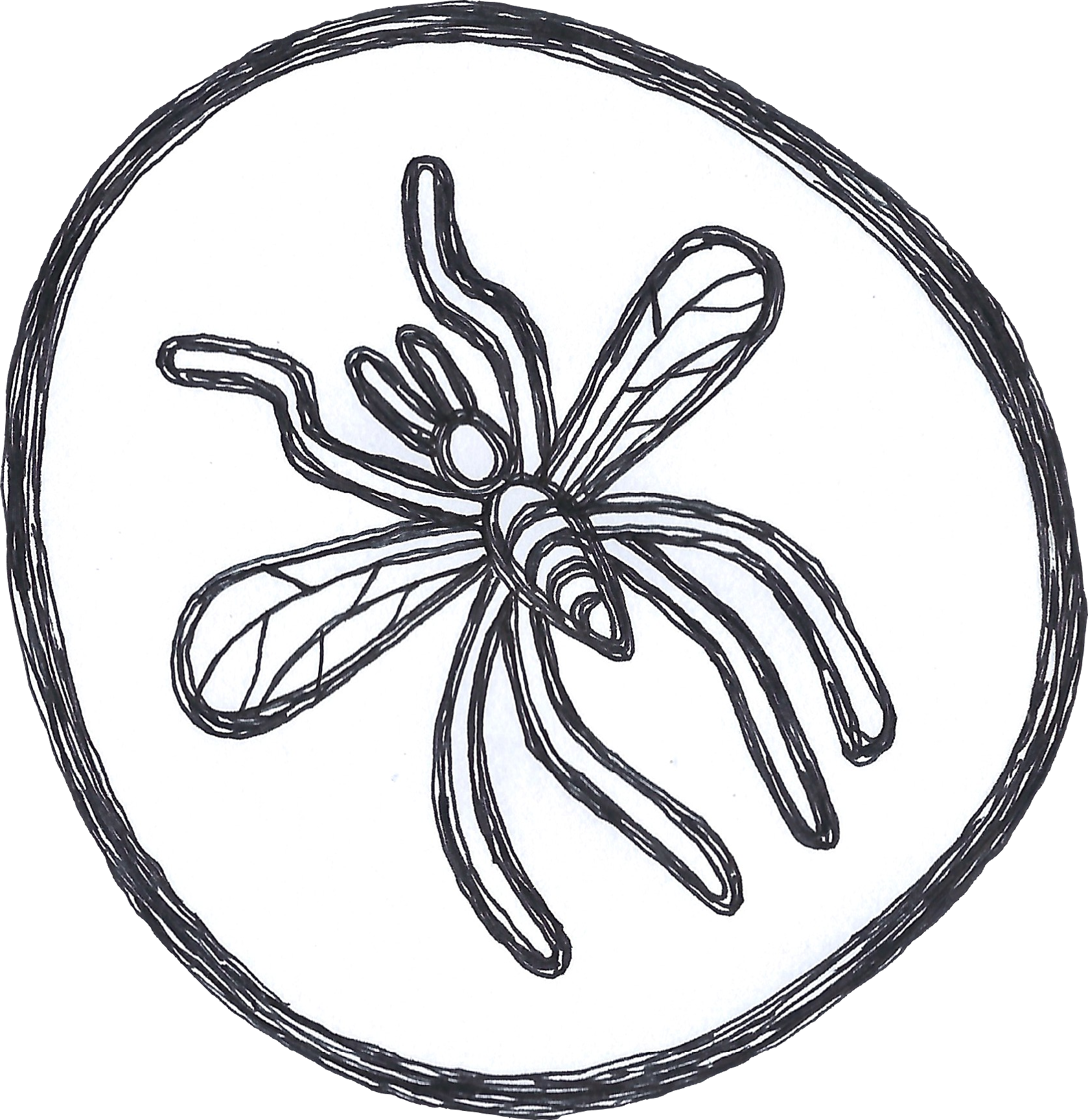Bug