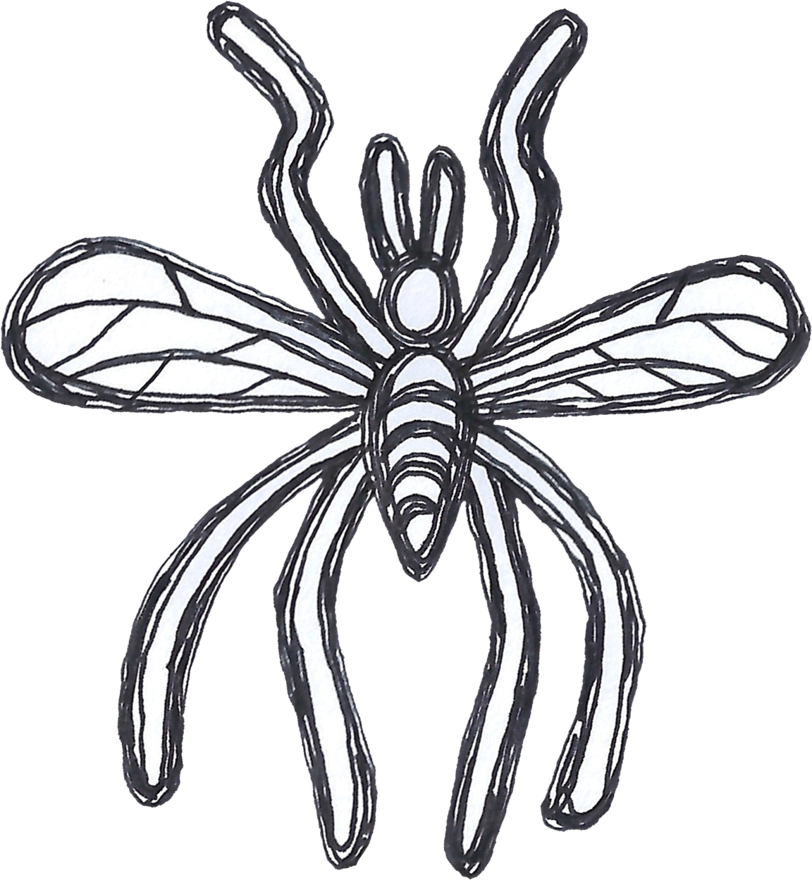 A small insect